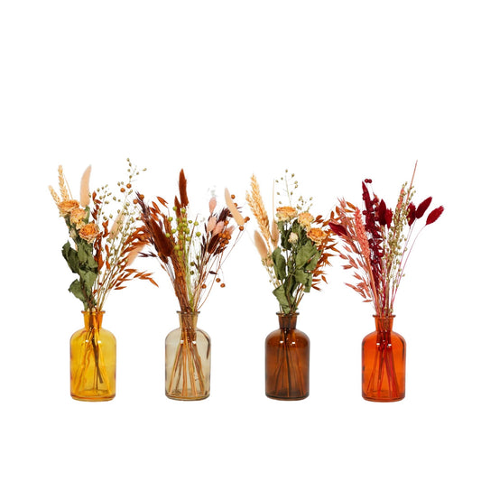 Dried Flowers - Floral Tea Party - Terra: Terra