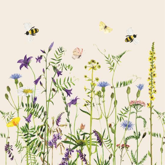 Napkin Summer Field 50pc