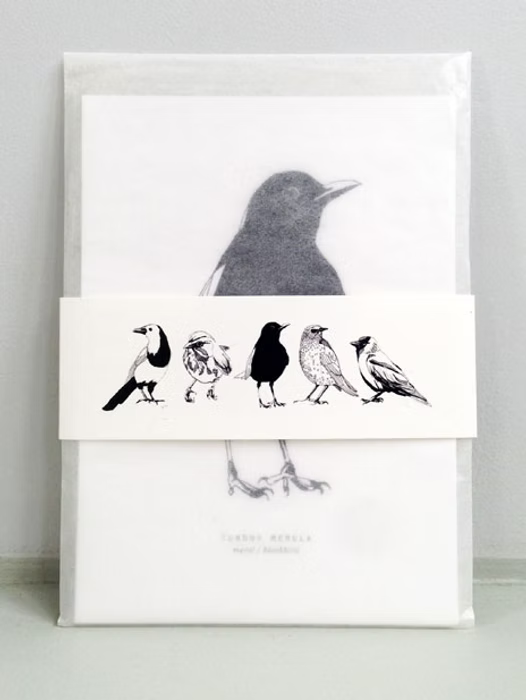 5 Dutch Birds