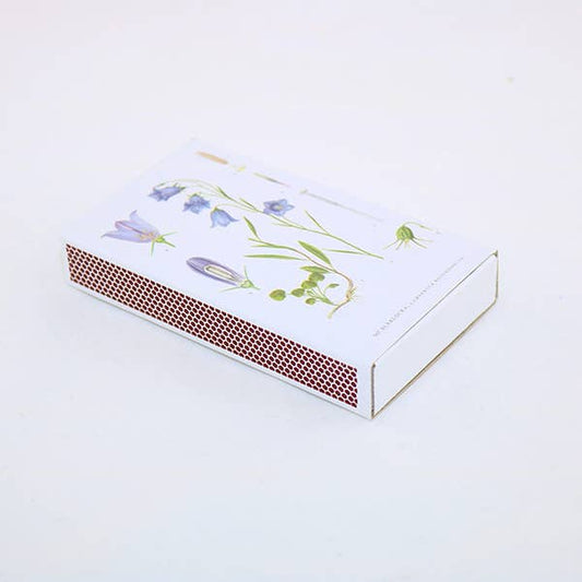 Matchbox Bluebell