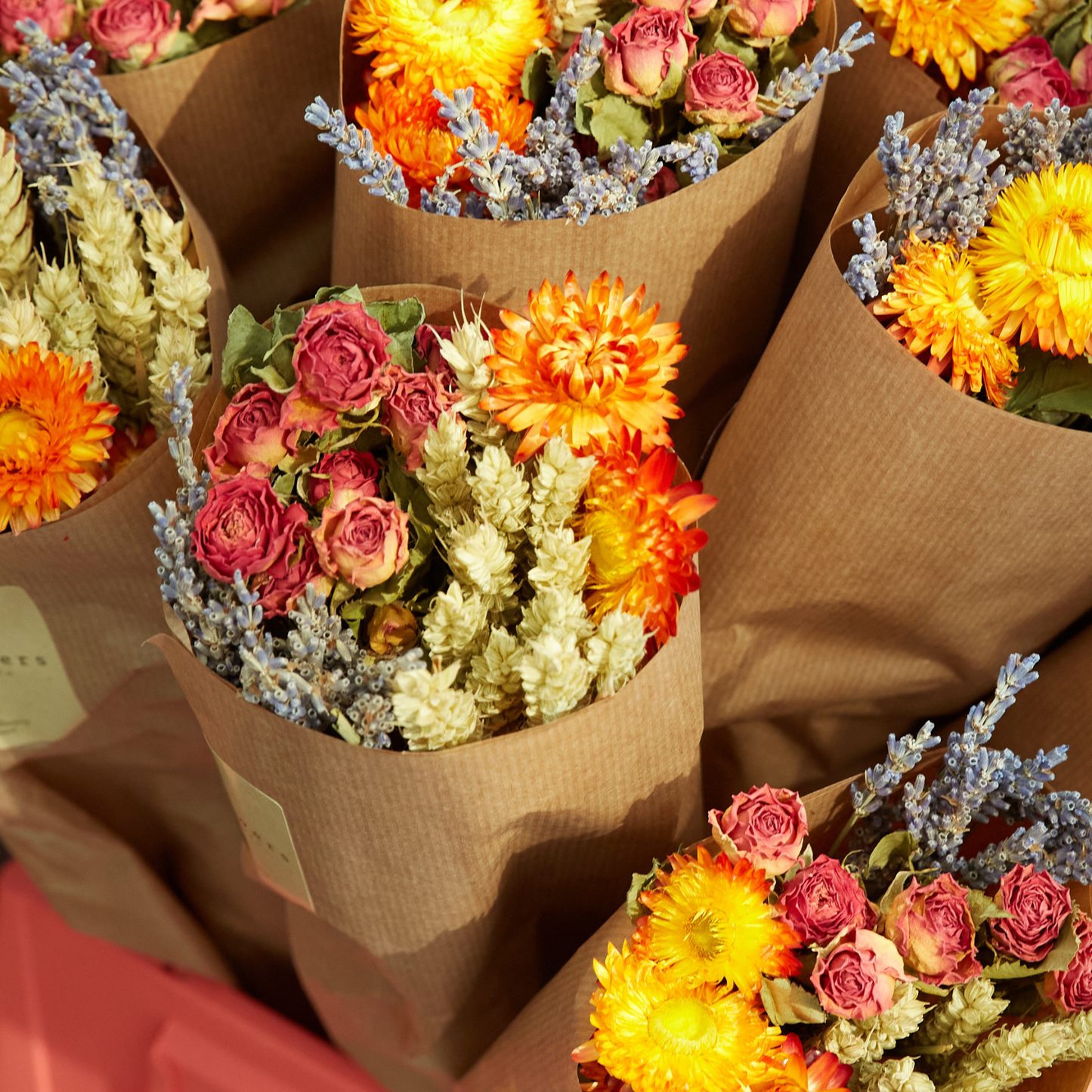 Dried Flowers - Market More - Orange