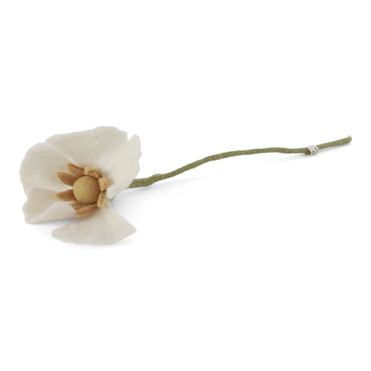 Poppy Flower White