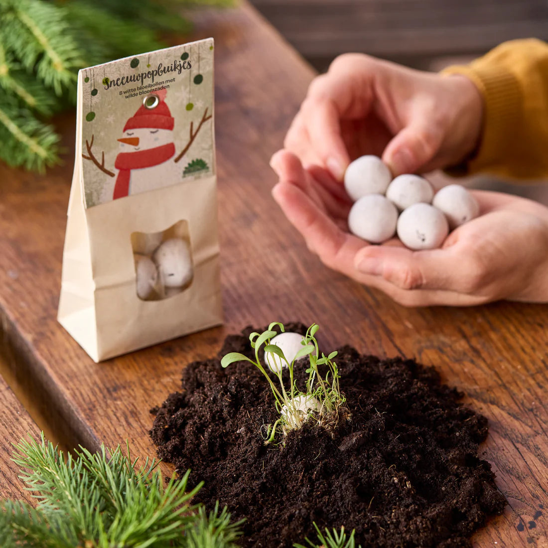 Sneeuwpop Buikjes - Witte Bloemenknikkers