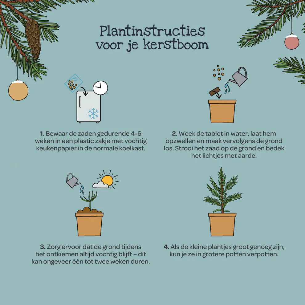 Kerstboom uit de beker