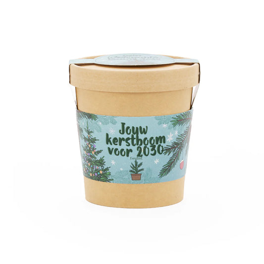 Kerstboom uit de beker