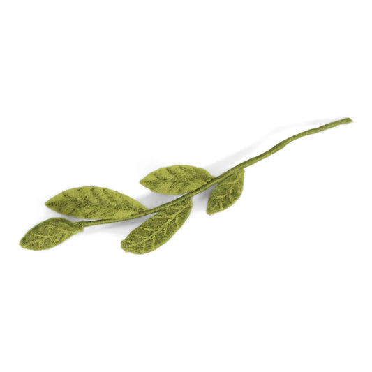 Branch Green Leaves