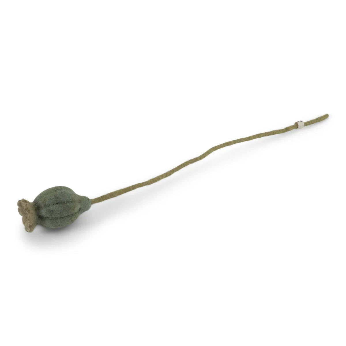 Poppy Seed Head