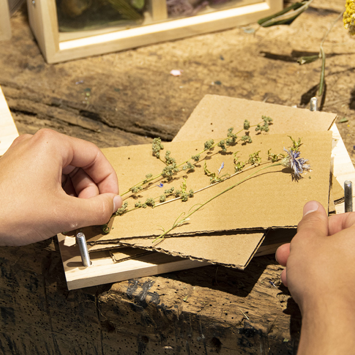 Bloemen- en kruidenpers
