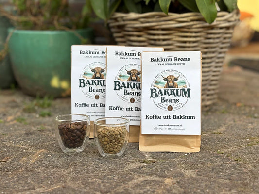 Bakkum Beans  - De Branding - koffiebonen - 250gram