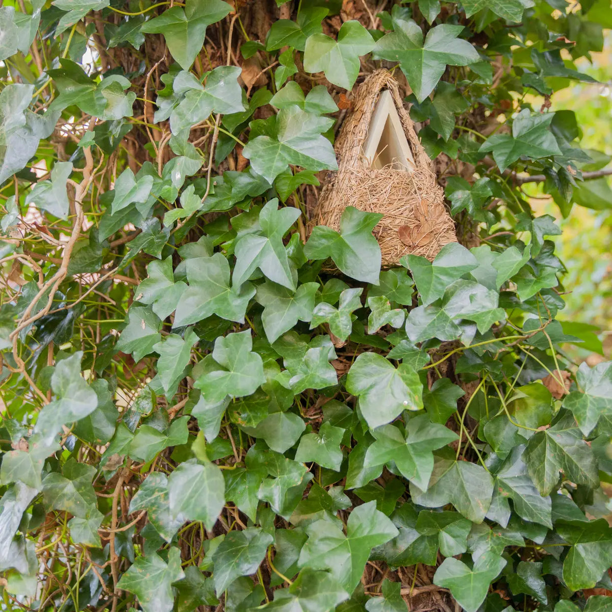 Camouflage nestkast