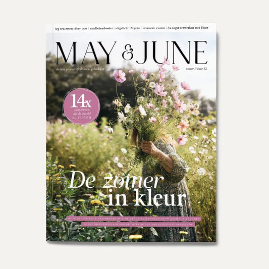 MAY & JUNE magazine #12 ZOMER