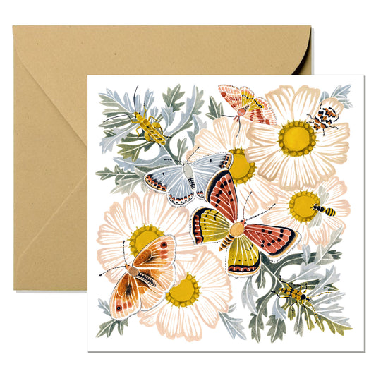 Greeting card - Wild marguerite