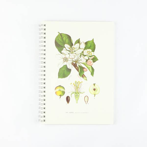 Notebook Apple