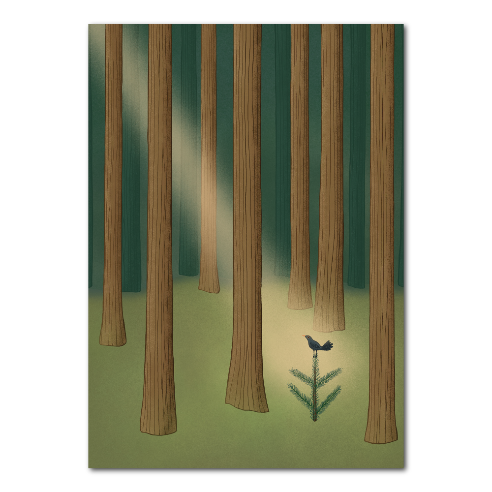 Blackbird in the forest | Postcard Swedish summer