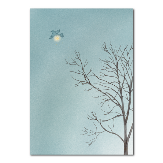 Birdlight | Map