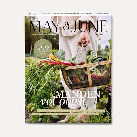 May & June #11 Lente