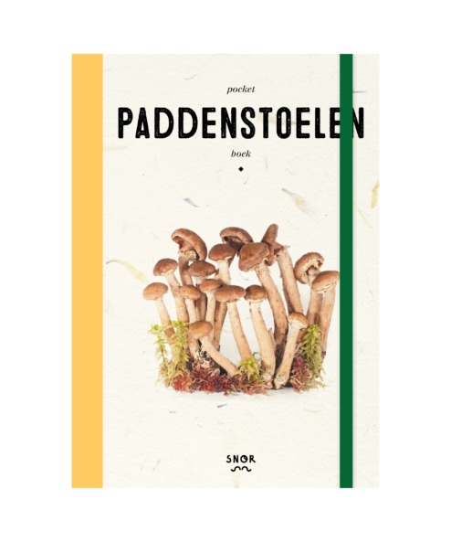 Paddenstoelenboek