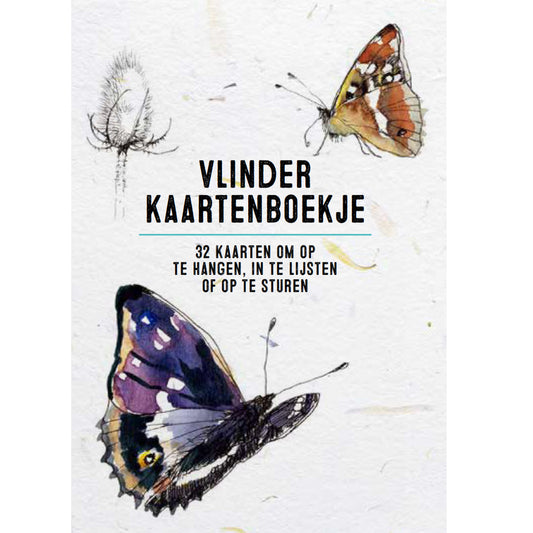 Vlinder kaartenboekje