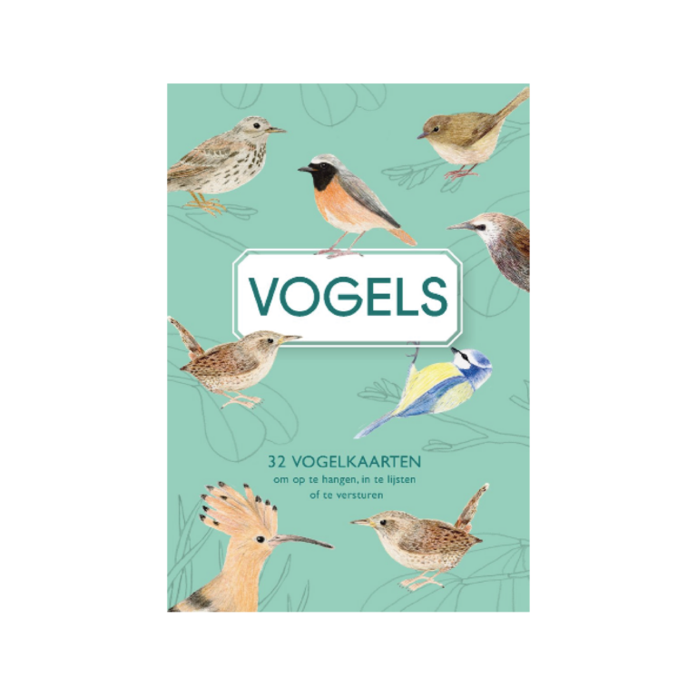 Vogels - kaartenboekje