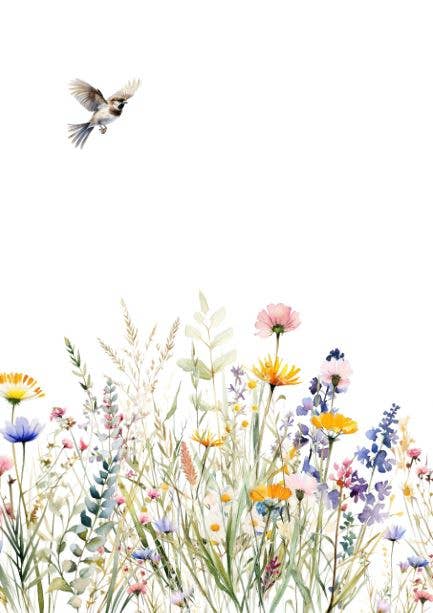 Sustainable postcard Spring time!